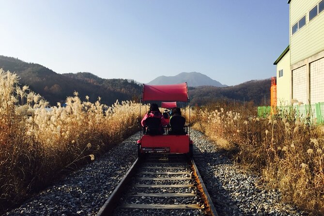 Nami Island and Begonia Bird Park Tour from Seoul (opt Railbike) - A full day beyond Seoul