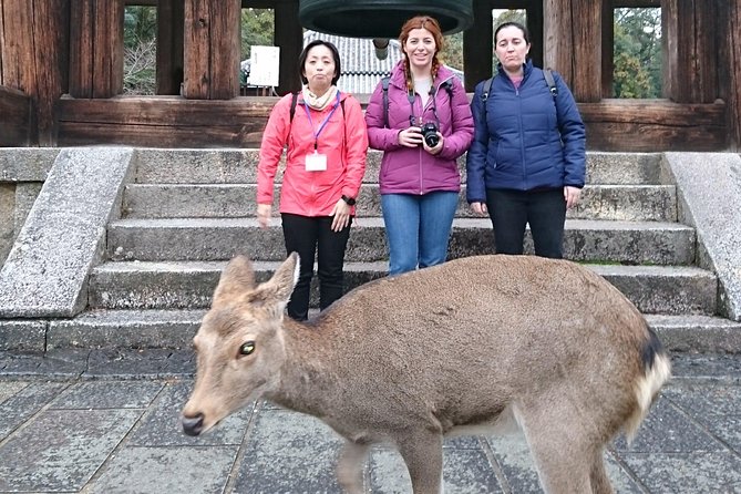 Nara Todaiji Lazy Bird Walking Tour - Hokke-do and Nara’s early Buddhist art