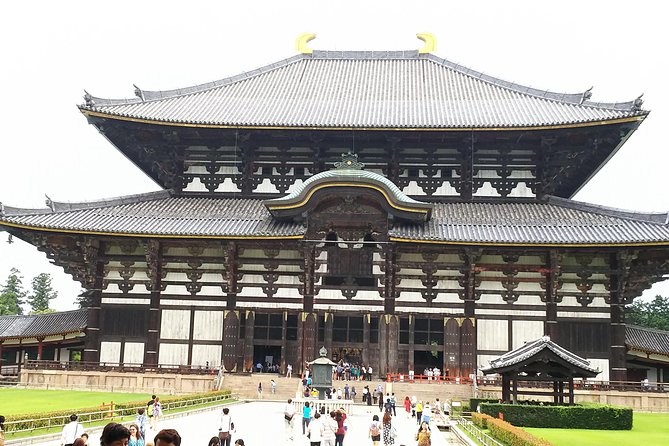 Nara Todaiji Lazy Bird Walking Tour - Meeting the deer in Nara Park