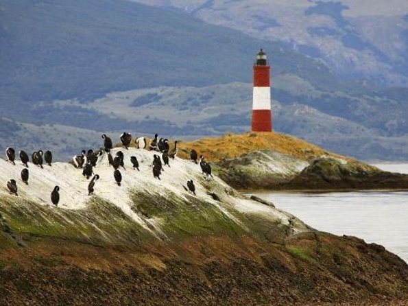 Navigate through the Beagle Channel: Seal, Bird & Penguin Islands - Key points before you book