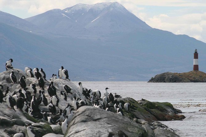 Navigate through the Beagle Channel: Seal, Bird & Penguin Islands - The return through Tierra del Fuego scenery