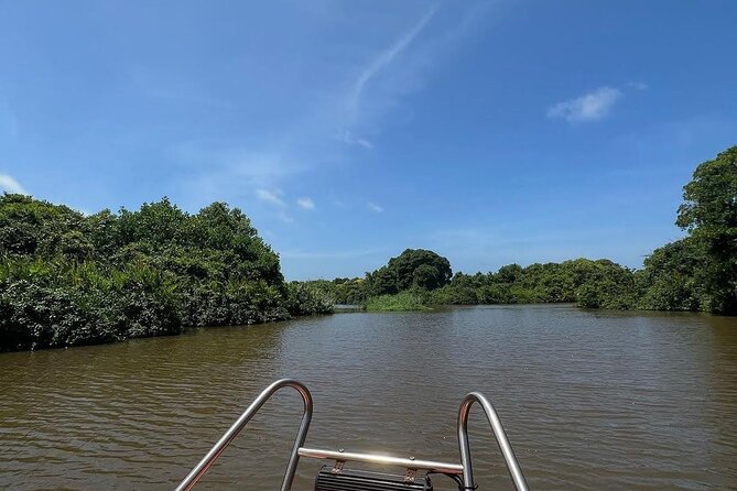 Negombo Lagoon & Muthurjawela Bird Watching Boat Tour - Key points at a glance