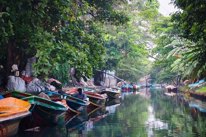 Negombo Lagoon & Muthurjawela Bird Watching Boat Tour - Why the private format affects the value