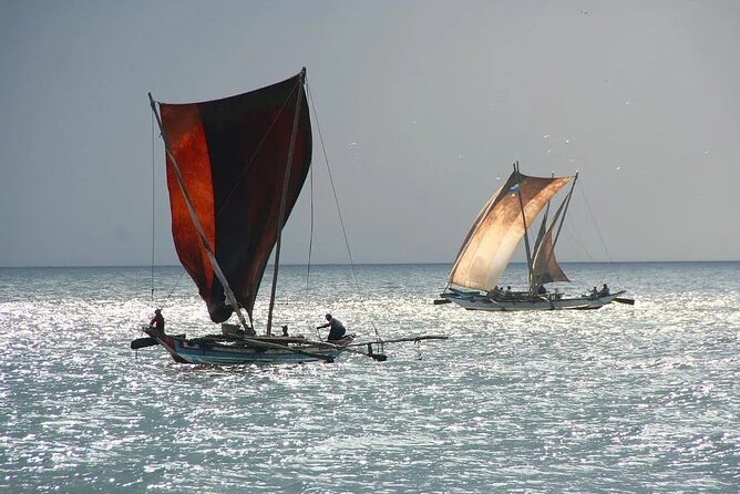 Negombo Lagoon & Muthurjawela Bird Watching Boat Tour - The important cruise ship warning