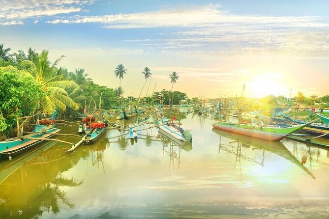 Negombo Lagoon & Muthurjawela Bird Watching Boat Tour - What to bring and how to prepare