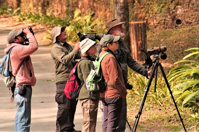 Nepal Birding - What the forest walk adds