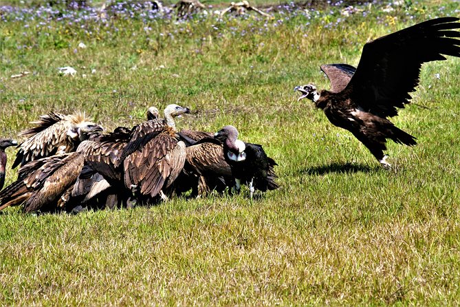 Nepal Birding - The route problem you should not ignore