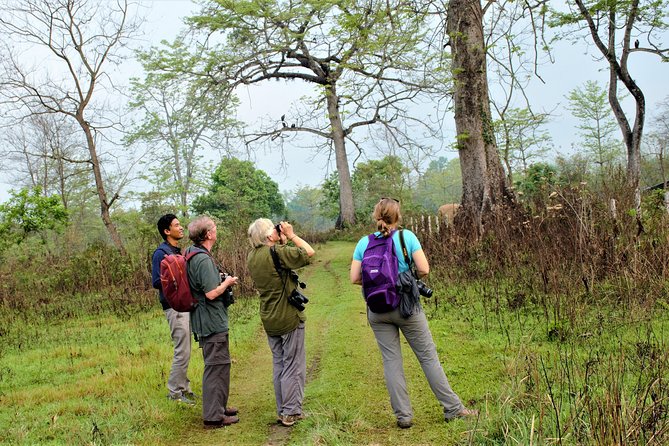 Nepal Birding - How the $225 price works for you