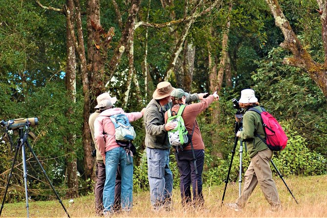 Nepal Birding - Who will enjoy this experience most