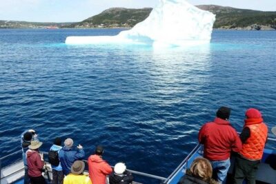 Newfoundland Puffin and Whale Watch Cruise