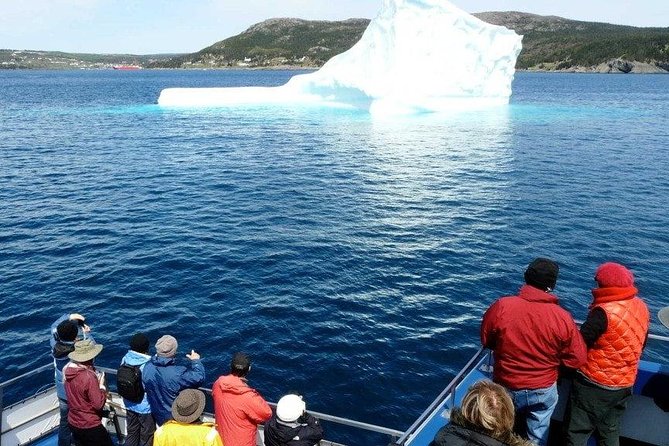 Newfoundland Puffin and Whale Watch Cruise - Bay Bulls to Bull Head: the cruise begins