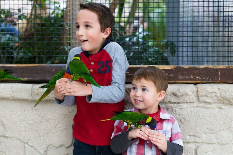 Niagara Falls, Canada: Bird Kingdom Entry Ticket - The upper rainforest is the main event