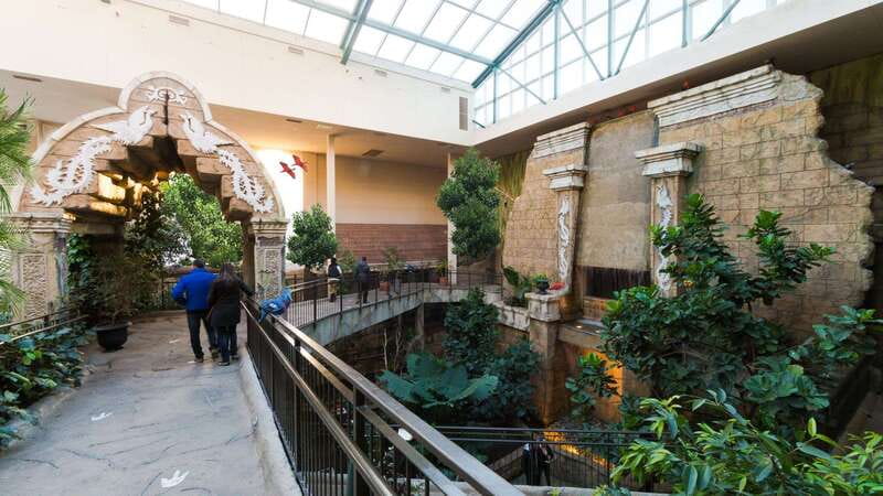 Niagara Falls, Canada: Bird Kingdom Entry Ticket - Who will enjoy Bird Kingdom most