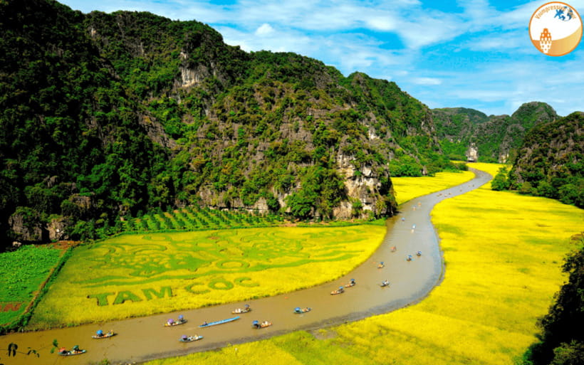 NINH BINH DAY TRIP: HOA LU,MUA CAVES &THUNG NHAM BIRD VALLEY - Flowers or seasonal fruit at the end
