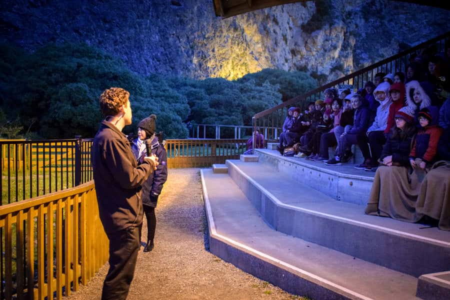 Oamaru: Penguins Evening Viewing Ticket - The no-camera rule is part of the experience