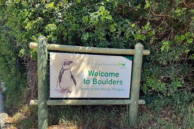 One Day Cape of Good and Penguin Colony Expedition from Cape Town - Key points to know before booking