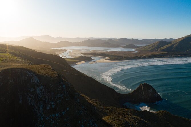 Otago Peninsula In-Depth Tour & Blue Penguins Pukekura Experience - Why this Otago Peninsula tour is more than a penguin stop