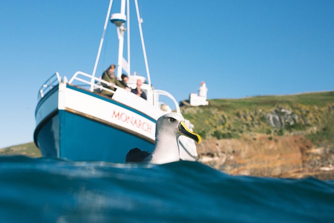 Otago Peninsula In-Depth Tour & Blue Penguins Pukekura Experience - Transport, timing, and the late return to Dunedin
