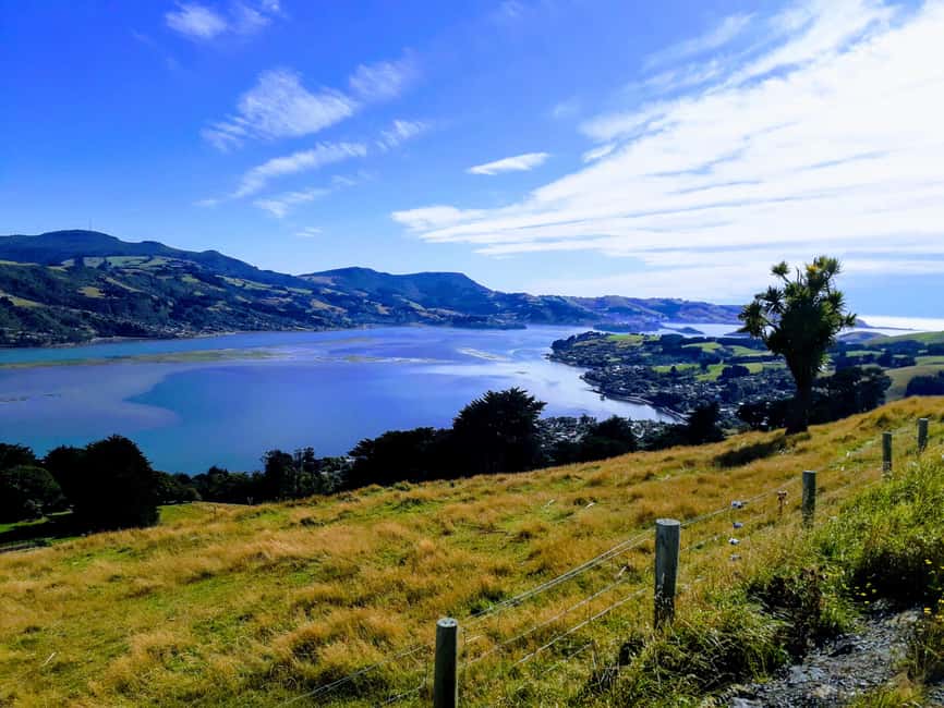 Otago Peninsula Scenery & Little Blue Penguin tour - Leaving Dunedin from The Octagon