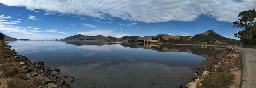 Otago Peninsula Scenery & Little Blue Penguin tour - Highcliff Road and Portobello scenery