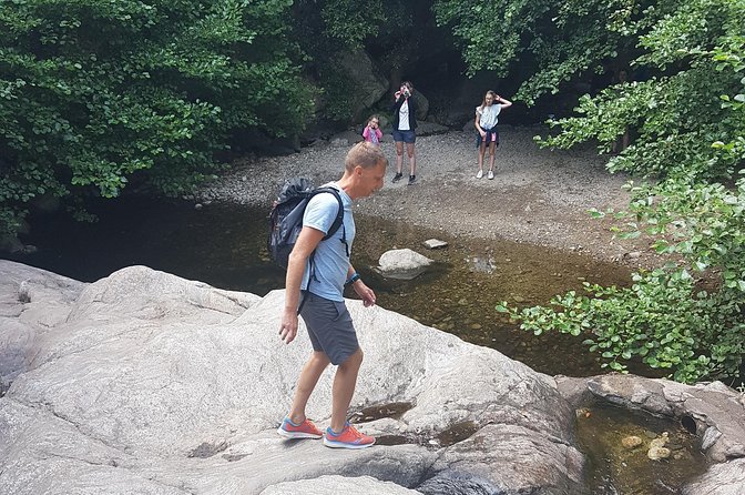 Over Water and Bird Songs - A shaded walk through water and woodland