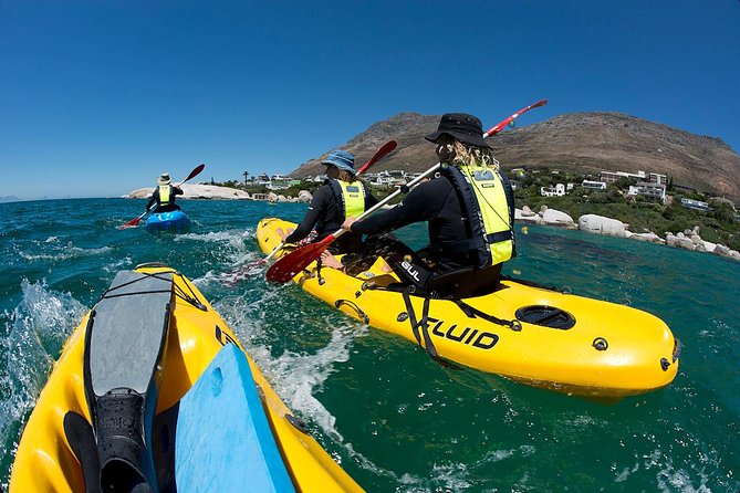 Paddle with the Penguins - Starting at Seaforth Beach in Simon’s Town