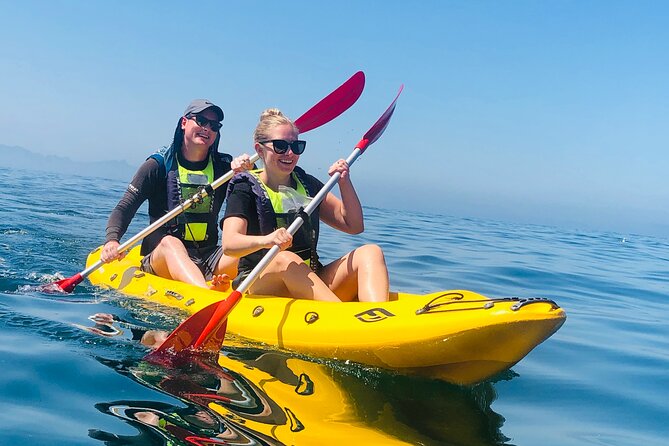 Paddle with the Penguins - Choosing between a single and double kayak
