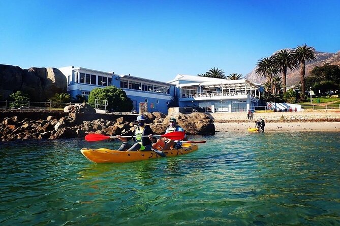Paddle with the Penguins - Paddling toward the penguin habitat
