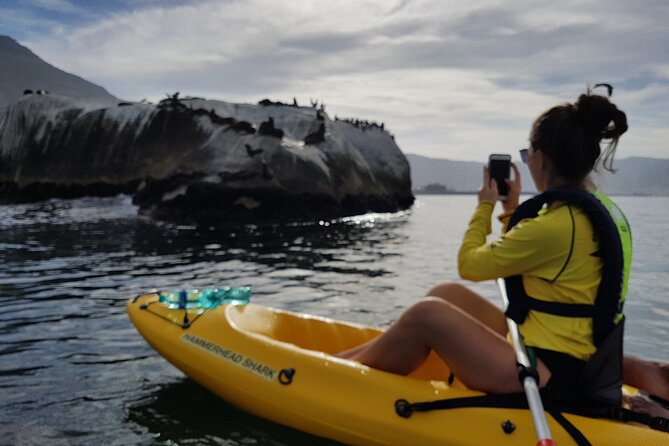 Paddle with the Penguins - Why weather is part of the decision