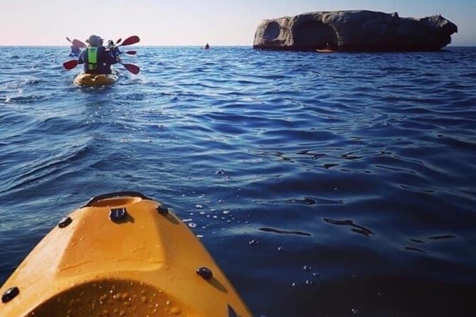 Paddle with the Penguins - Is $34.63 a fair price?