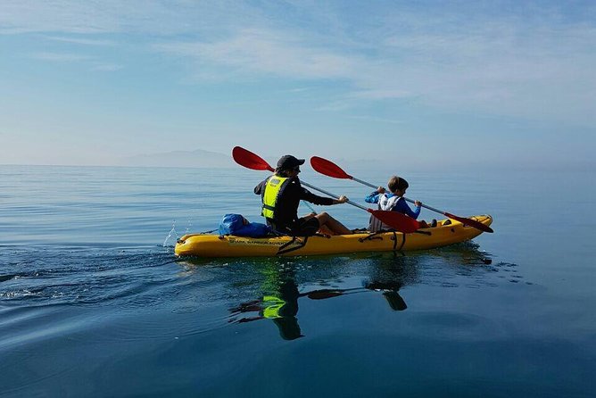 Paddle with the Penguins - Who will enjoy this most?
