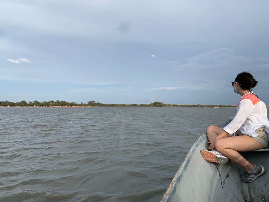 Palomino: Sanctuary of Flamingos Day Tour - What makes the Caribbean setting feel different