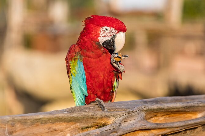 Parrot World Immersive Wildlife Park Entry Ticket next to Paris - A tropical park 45 minutes from central Paris