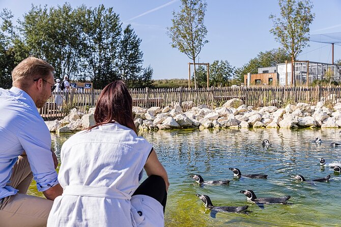 Parrot World Immersive Wildlife Park Entry Ticket next to Paris - Walking through Patagonia