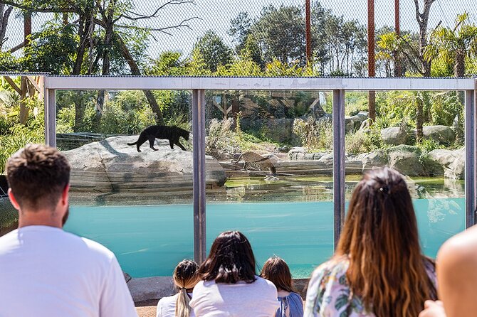 Parrot World Immersive Wildlife Park Entry Ticket next to Paris - Around 80 species, with learning built in