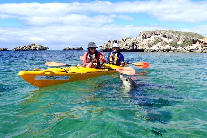 Penguin and Seal Islands Sea Kayaking Experience - Starting at Shoalwater at 8:00 am