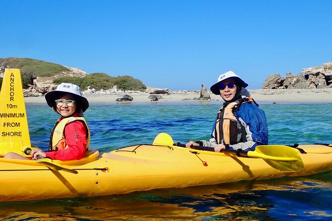 Penguin and Seal Islands Sea Kayaking Experience - Exploring Penguin Island on foot