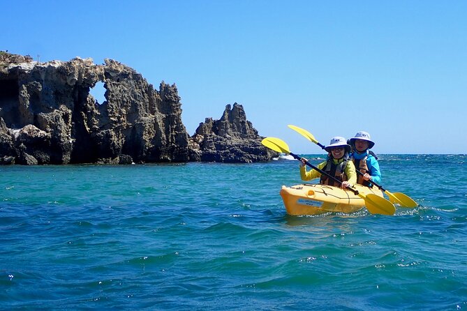 Penguin and Seal Islands Sea Kayaking Experience - Crossing toward Seal Island