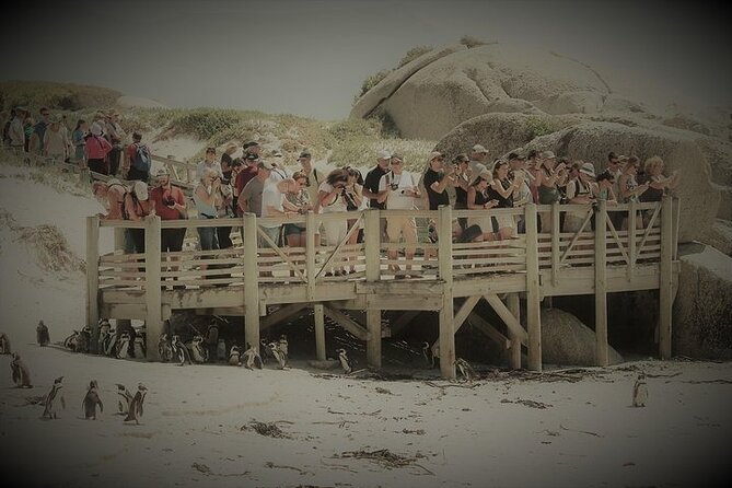 Penguin Encounter Boulders Beach Half Tour Day from Cape Town - Boyes Drive adds a final False Bay view
