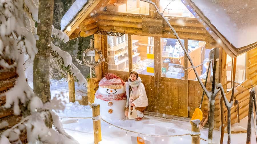 Penguin Fun & Snowmobile : Sapporo Winter (Asahiyama Zoo) - Shikisai-no-oka: wide views and a costly thrill