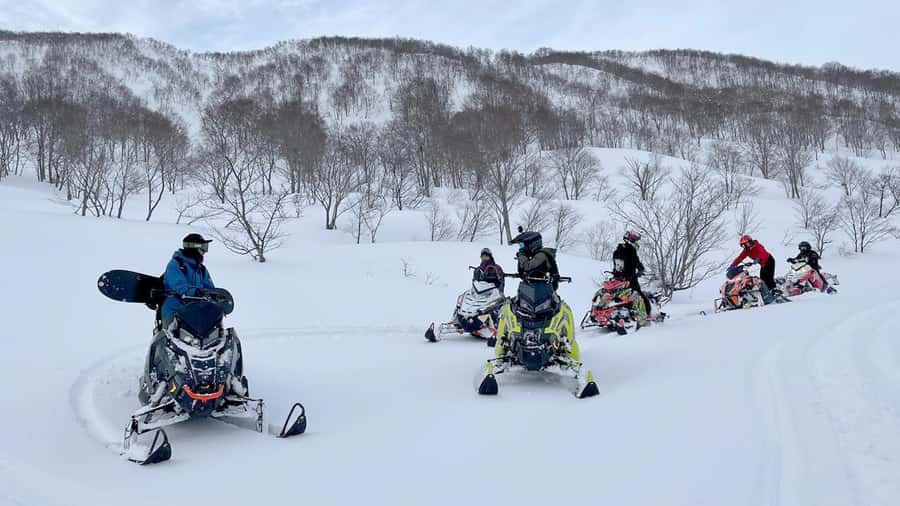 Penguin Fun & Snowmobile : Sapporo Winter (Asahiyama Zoo) - Asahiyama Zoo and the winter penguin walk