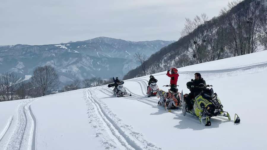 Penguin Fun & Snowmobile : Sapporo Winter (Asahiyama Zoo) - Does the $58 price represent good value?