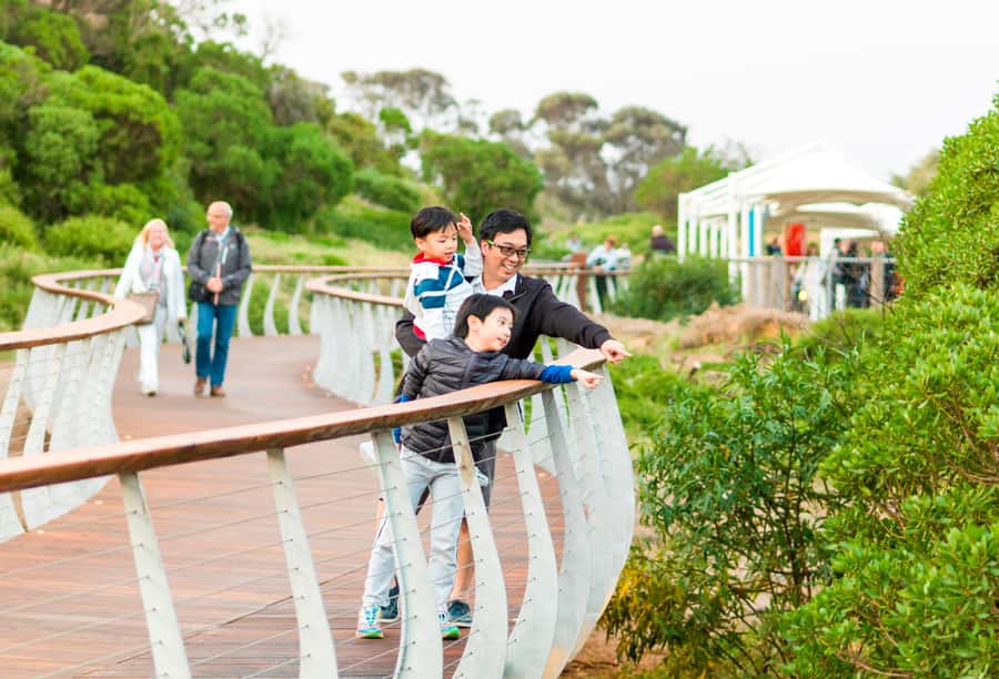 Penguin Parade: General Viewing Ticket - Key things to know before you go
