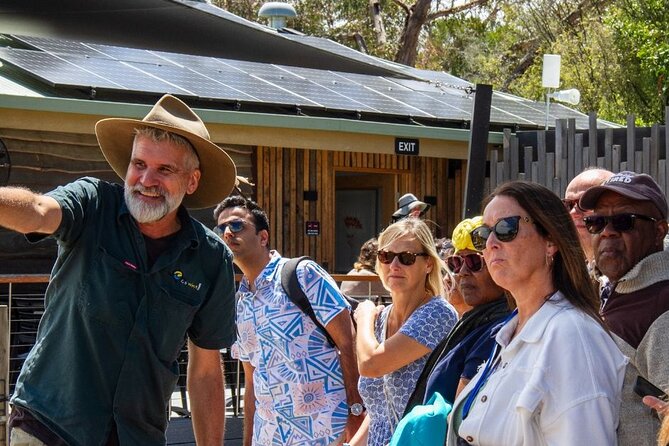 Penguin Parade, & Wildlife Encounters Eco Tour from Melbourne - Cape Woolamai and Cowes in summer