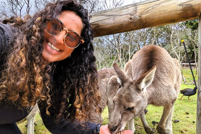 Penguin Parade, & Wildlife Encounters Eco Tour from Melbourne - What the $118.35 price really includes