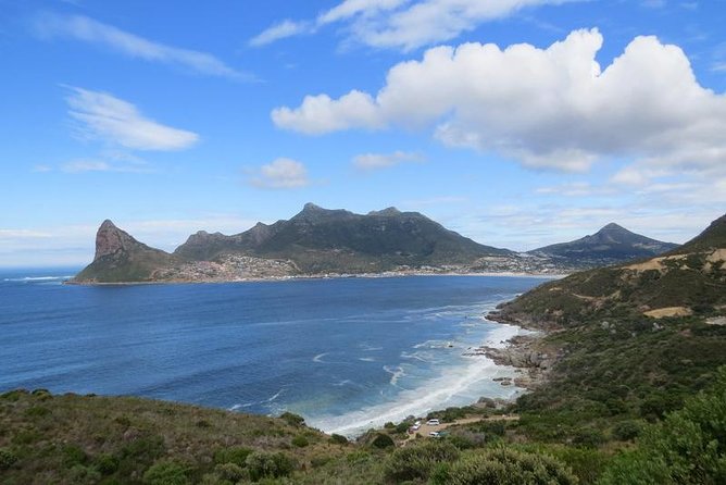 Penguin Time! Private Peninsula Experience. - Why this private Cape Peninsula day works