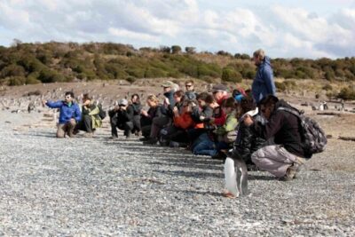 Penguin walk in Ushuaia + navigation option