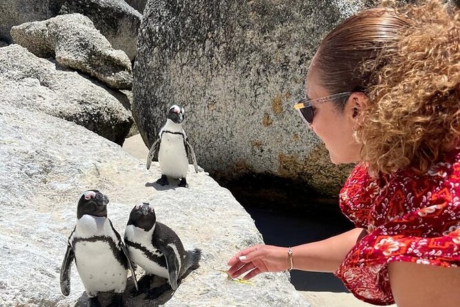 Penguin Watching & Beach Day at Boulder's Beach, Cape Town - Camps Bay and Maiden’s Cove: a strong opening view