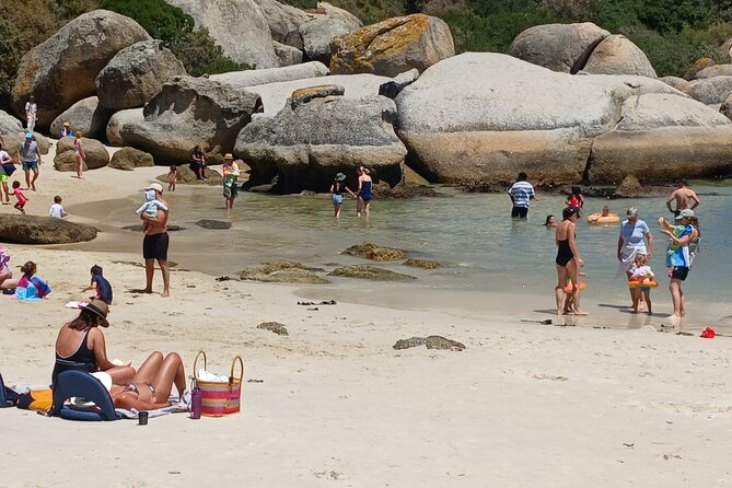 Penguin Watching & Beach Day at Boulder's Beach, Cape Town - Chapman’s Peak Drive and the Atlantic cliffs