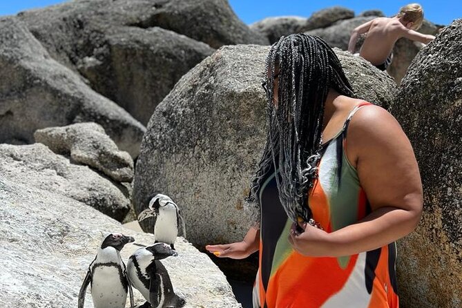 Penguin Watching & Beach Day at Boulder's Beach, Cape Town - Simon’s Town, Fish Hoek, and the False Bay crossing